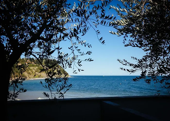 Hotel Barbara Pirano